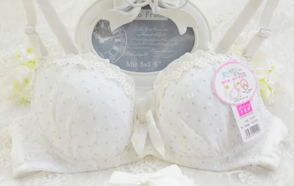 

Free shipping Japanese summer garden with slim cotton lace through the girl student underwear bra gather 829 #