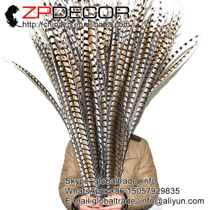 ZPDECOR 40 44 дюйма (100 110 см) 50 шт./лот супер длинные натуральные женские перья из хвоста