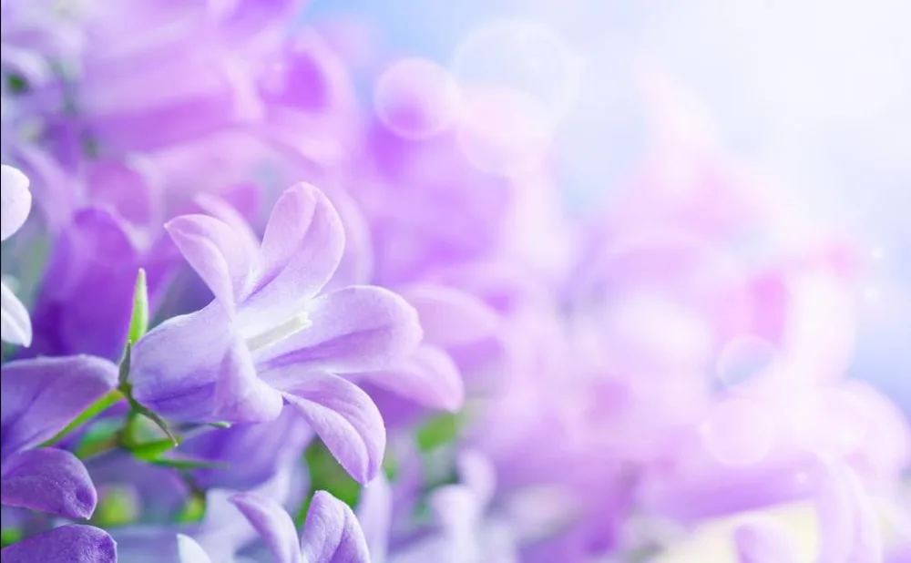 Фон для фотографий с фиолетовыми цветами фэнтезийные 3D обои настенные на заказ