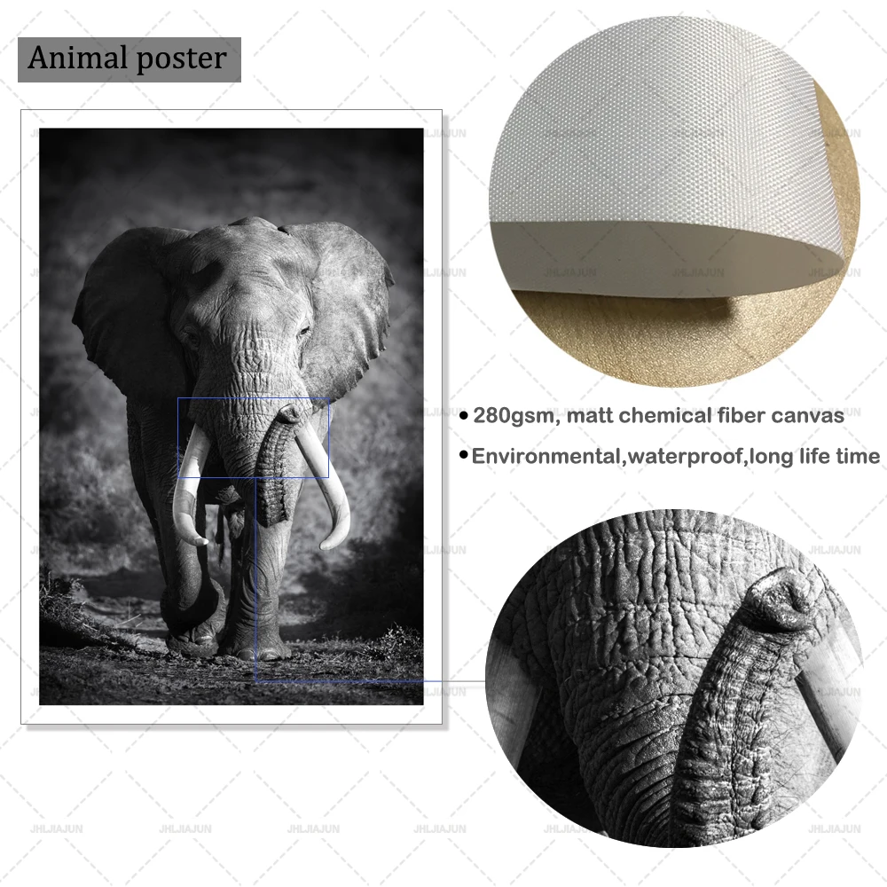 Современное искусство с изображением животных Белая лошадь черно-белая картина