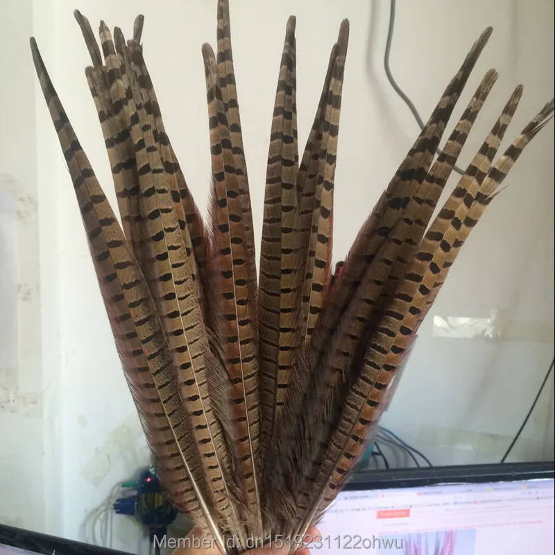 

Wholesale 100 pcs beautiful natural color Pheasant Feather 16-18 inches 40-45 cm free shipping
