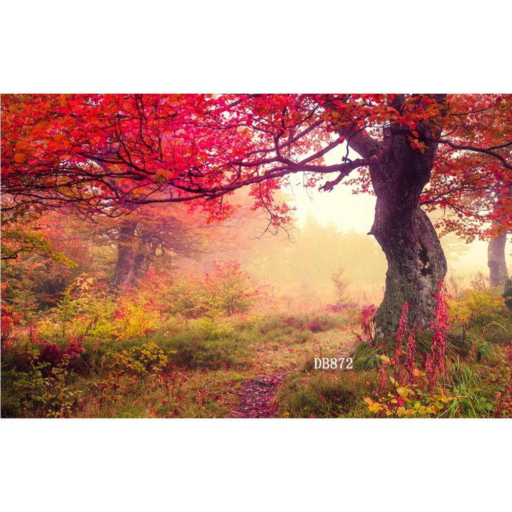 LB полиэстер и винил фон для фотостудии реквизит фотосъемки Природа Страна Чудес