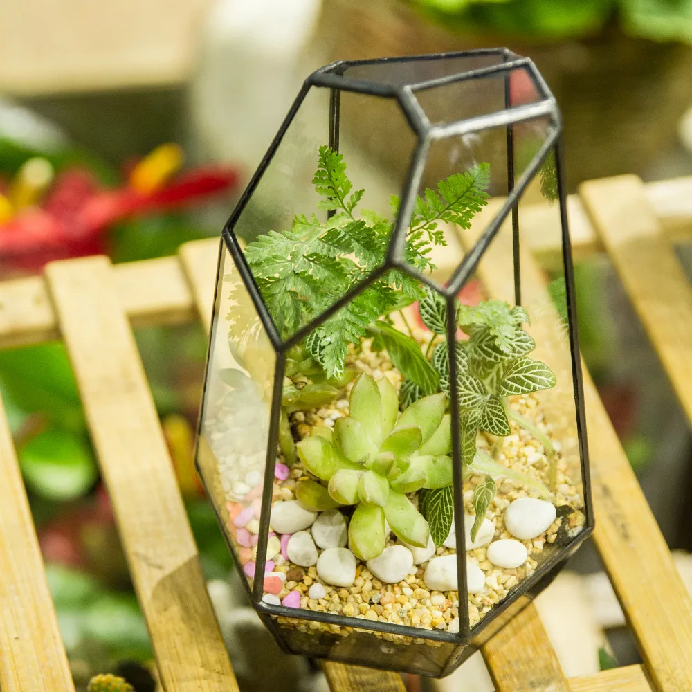 Стеклянный террариум плантатор для сада настольный миниатюрный стеклянный