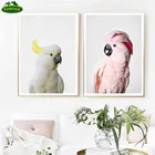 Алмазная 5D Вышивка YUMEART с птицей какаду, картина сделай сам из страз, вышивка крестиком, мозаика, квадратная картина, Настенная картина для девушек