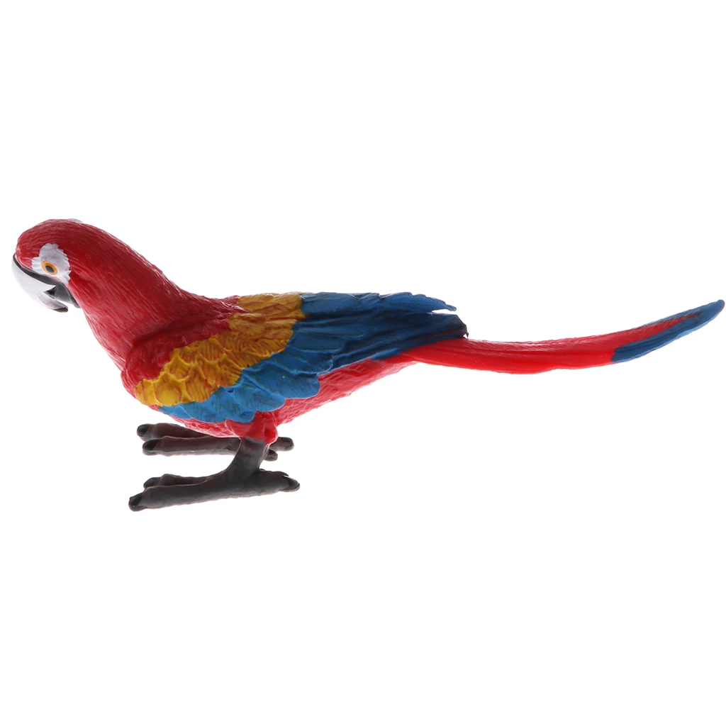 

Plastic Realistic Wildlife Jungle Forest Animals Parrot Action Figure Toys Play Set, Educational Toys For Kids Collectibles
