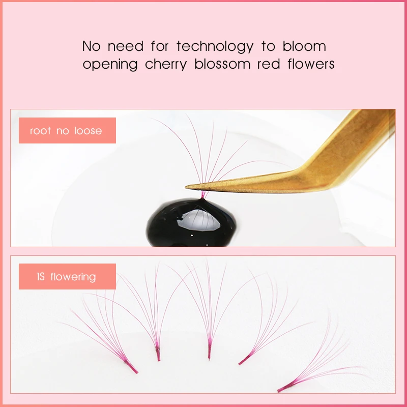 Поцелуй корейский прививка красное вино Камелия одна секунда цветение