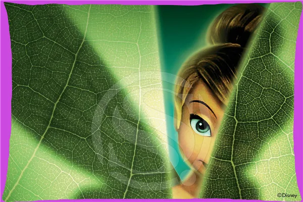 DFGH-LF224 Горячие Продажа Пользовательские Tinkerbell Молнии Прямоугольник Наволочки с