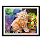 5D DIY Алмазная вышивка с котом на стуле Алмазная картина вышивка крестиком полная дрель украшения для дом из горного хрусталя