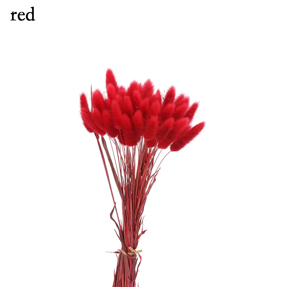 red 50 шт. сушеные натуральные Цветочные букеты Uraria Picta& Rabbit Tail трава букеты и красочные lagunus Ovatus букеты грозди стрельба - Цвет: red