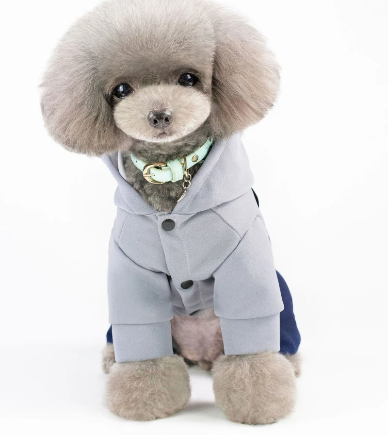 Осенне-весенняя одежда для собаки комбинезон куртка пальто костюм маленькой