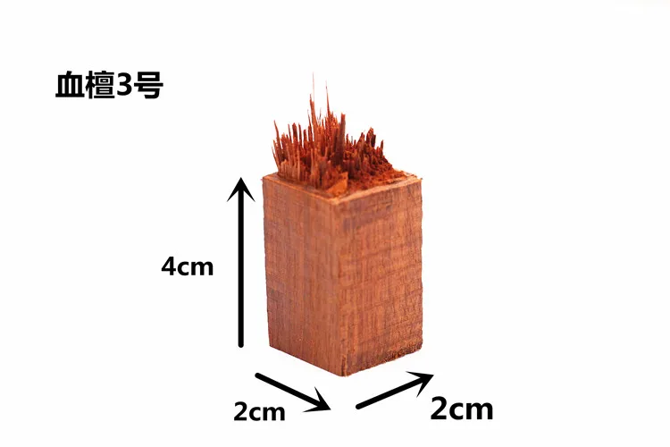 New Dried Flower Resin Craft Blood Sandalwood Ebony Broken Seal Micro Landscape for Jewelry Decoration - Цвет: X3