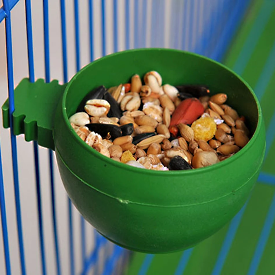 Пластиковая тарелка для кормления птиц | Дом и сад