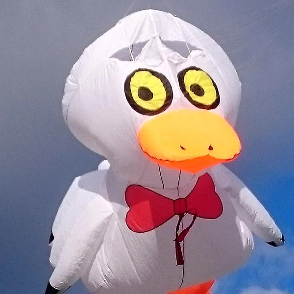 Большая забавная фабрика летающая ветрозащитная труба рыба игрушки | Игрушки и