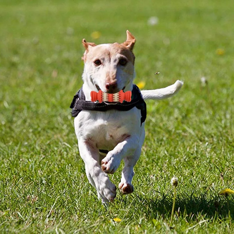 Собака жевательные игрушки для собак зубной чистый шар еда креативные Экстра