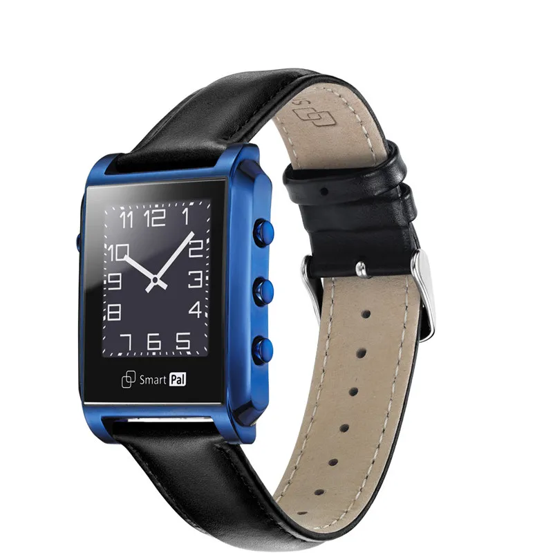 DEHAI First E-ink Screen Smart Pal G1 Watch Stainless Steel Metal Sapphire Wristwatch for iphone Android 50M Waterproof | Электроника
