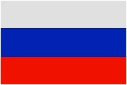 Russian Federation 100 шт./лот, ручные национальные флаги, 14x21 см, флаг России, США, Великобритании, Франции, Нидерландов, Испании, Израиля, ЕС, флаг, баннер с пластиковым флагштоком - Цвет: Russian Federation