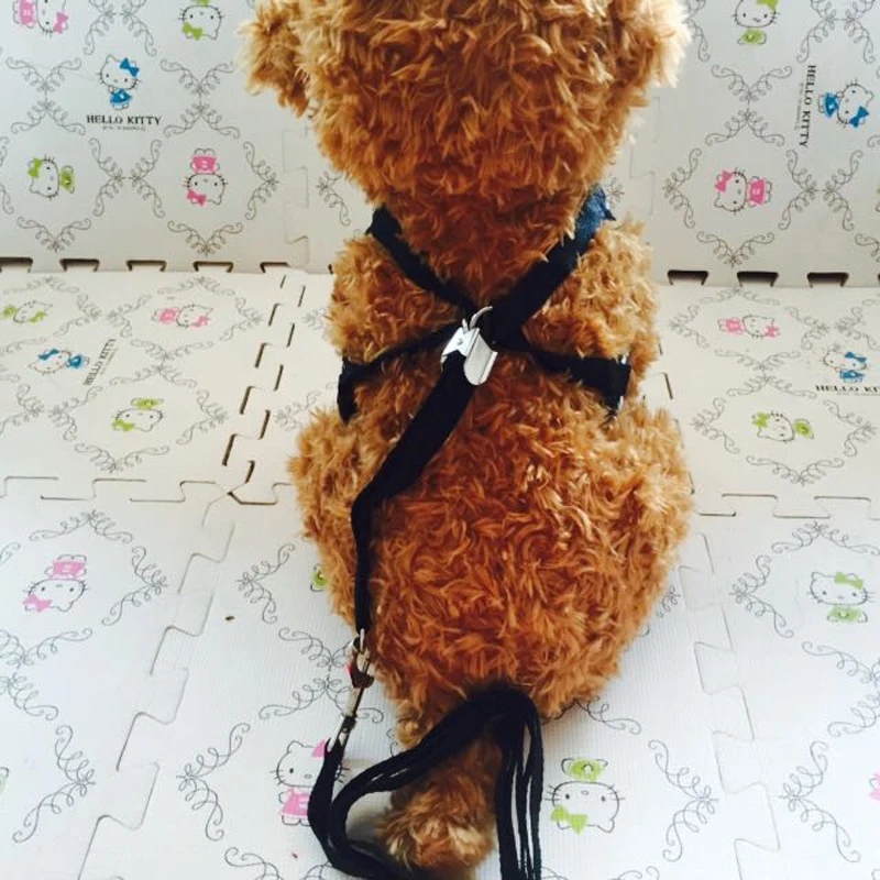 4 вида цветов дышащая питомца собаку ошейник и поводок собаки сбруя жилет