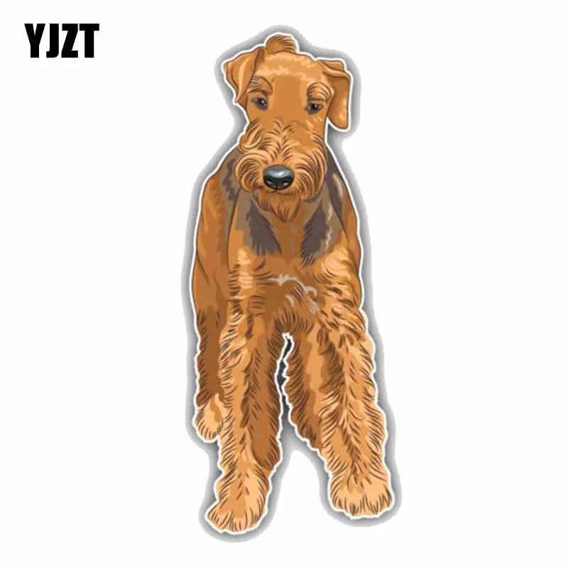 YJZT 8 см x 19 5 Airedale Terrier собака животное наклейка фотография|car window decals|car stickers decalsdog car