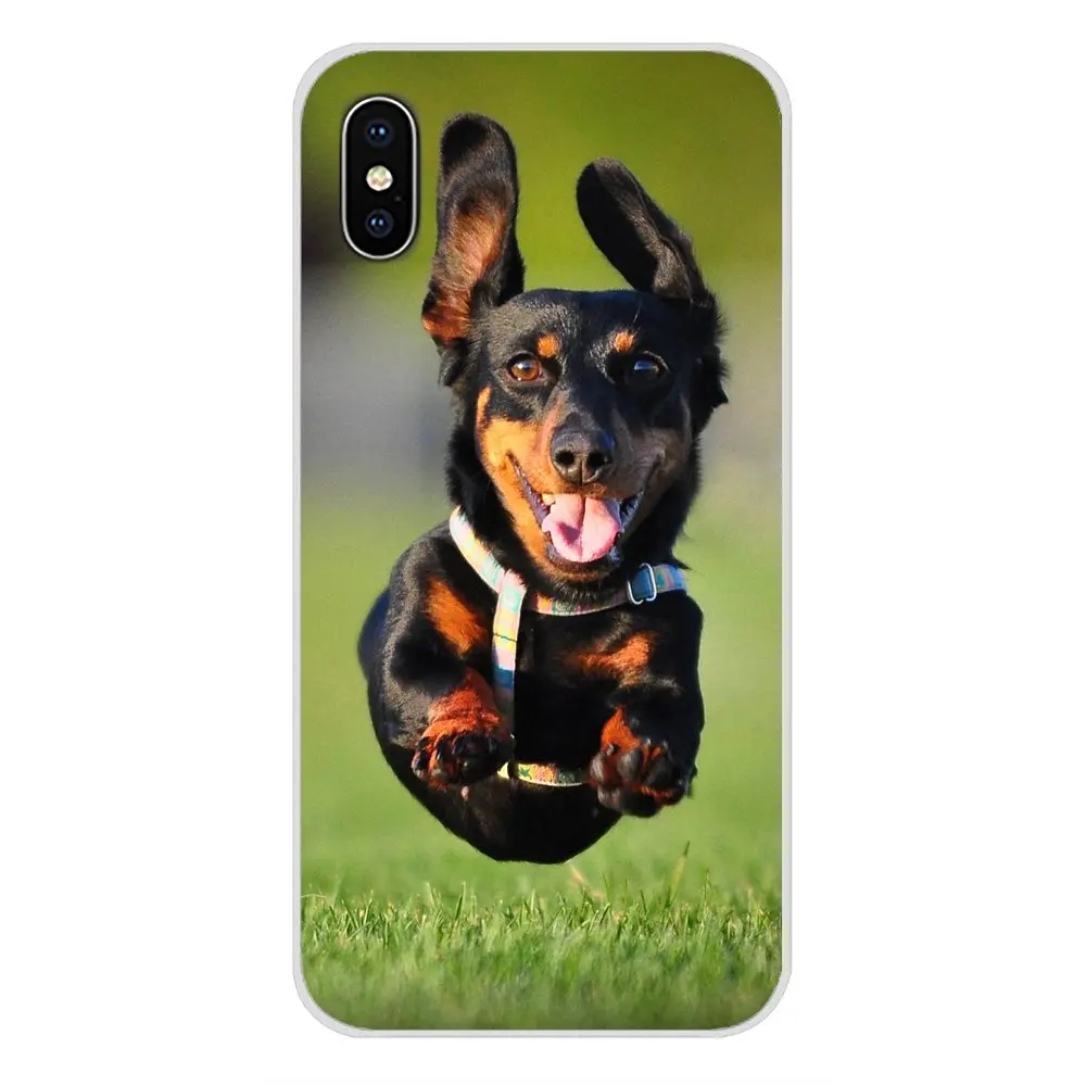 Мягкие прозрачные чехлы для Huawei P Smart Mate Honor 7A 7C 8C 8х9 P10 P20 Lite Pro Plus Такса doxie flower dog