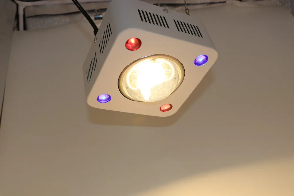 CREE CXB3590 300 Вт COB светодиодный светильник для выращивания полный спектр 12000LM 3500K замена HPS 500 Вт лампа для выращивания комнатный светодиодный светильник для роста растений ing