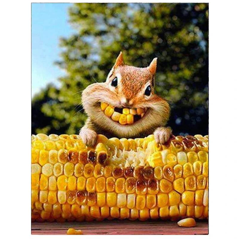 Камни в форме ромба/круглый Алмазная мозаика Черепашки Ниндзя игрушки кукурузы