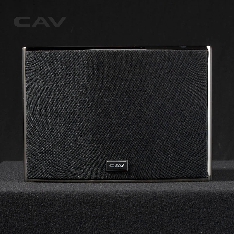 CAV DL-3 настенный динамик Scan-Speak HIFI полночастотный Динамик ТВ-динамик с высокой точностью объемная Система домашнего кинотеатра