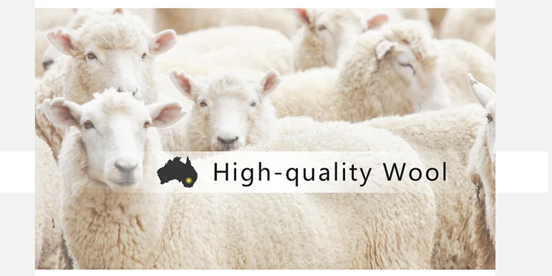 Luxury Winter Scarf Wool Cashmere Scarf Poncho Stoles Women Thicken Warm Scarves Wrap Pashmina Tassels Solid Color Scarf