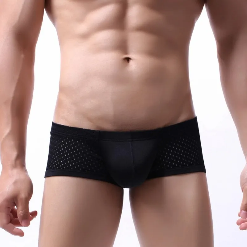 

Sexy Gay Underwear Men Boxers Shorts Cueca Breathable Mesh Panties Man Low Waist U Convex Pouch Underpants calzoncillo S-XL