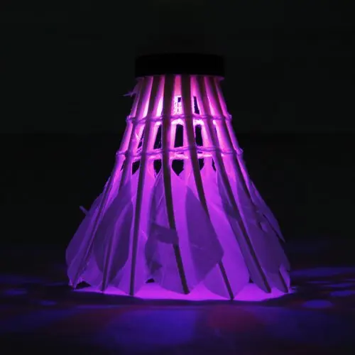 

LGFM-2pcs LED BadmIntons Shuttlecocks Light