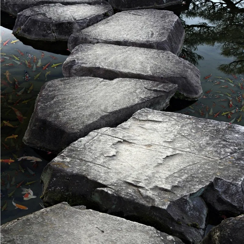 Бесплатная доставка фото камень струящаяся вода Карп Гостиная Ванная комната 3d