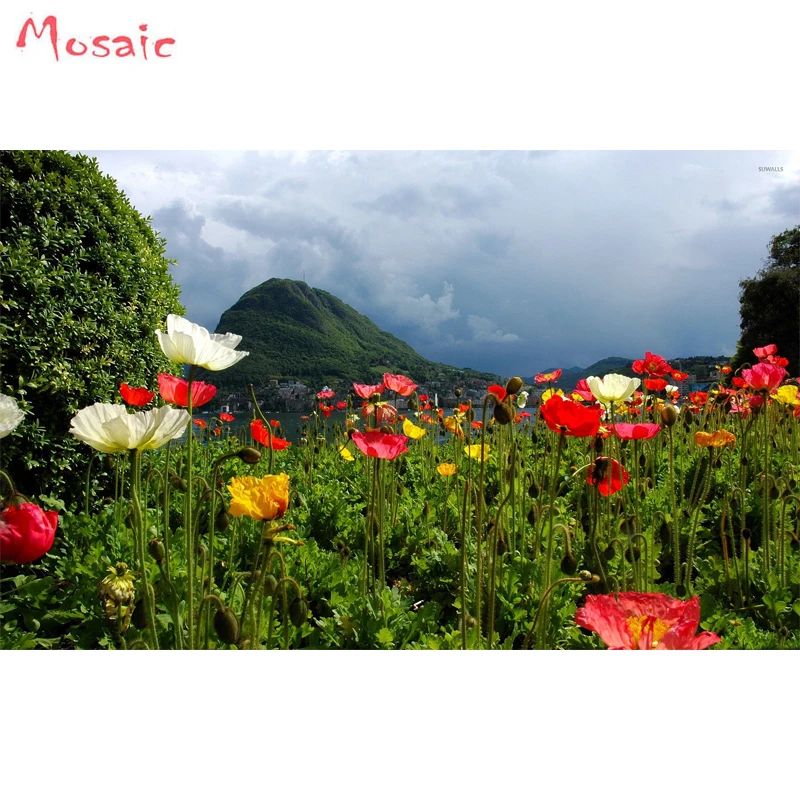 

Full Square Diamond embroidery poppy flower mountain landscape Full square Diamond mosaic 5D DIY Diamond painting Cross stitch