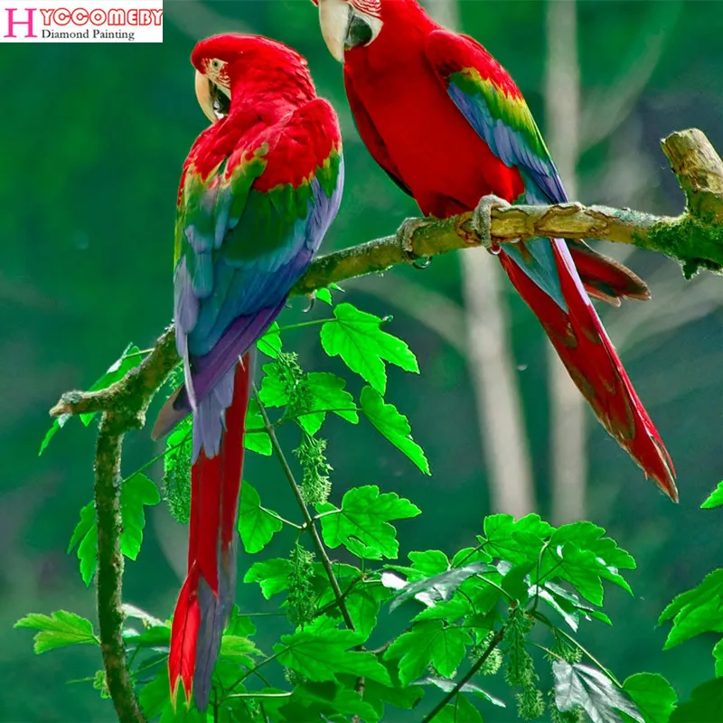 5D diy Diamond Painting animal bird parrot Art full square Embroidery Mosaic Cross Stitch decoration gift | Дом и сад