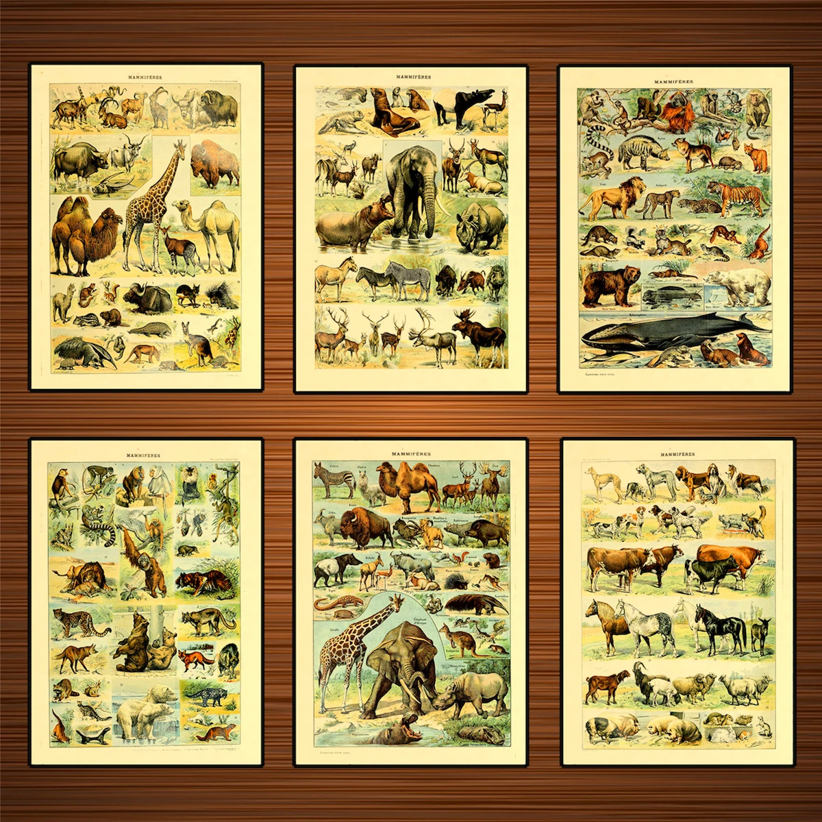 Vintage Adolphe Millot Encyclopedia Posters Reptiles Crayfish Fish Classic Canvas Paintings Wall Stickers Nursery Decor