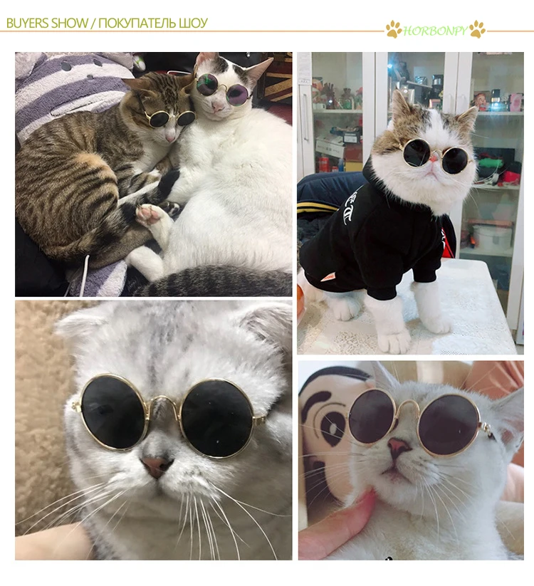 HORBONPY Pet очки «кошачий глаз» собачьи очки забавные ПЭТ фото реквизит продукты для маленькой собаки Кошачий глаз-одежда маленькая плюшевая собака солнцезащитные очки
