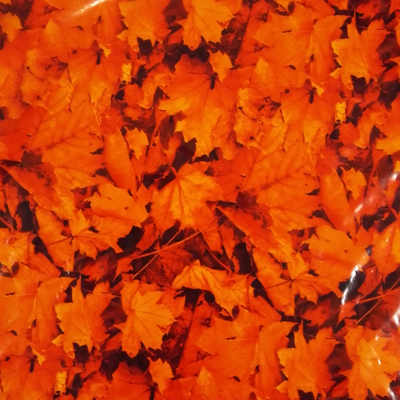 

TSAUTOP Size 0.5m x 20m hydro printing film hydrographic film camo WDF1038