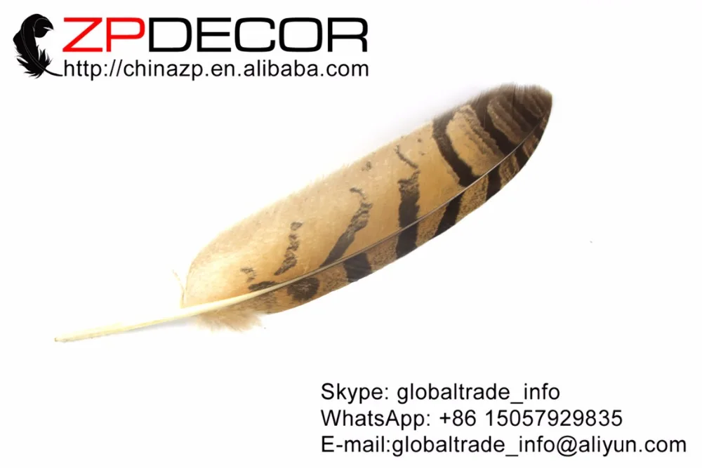 ZPDECOR 30 35( 12 14 дюймов) 50 шт./лот настоящие красивые перья с изображением совы и орла