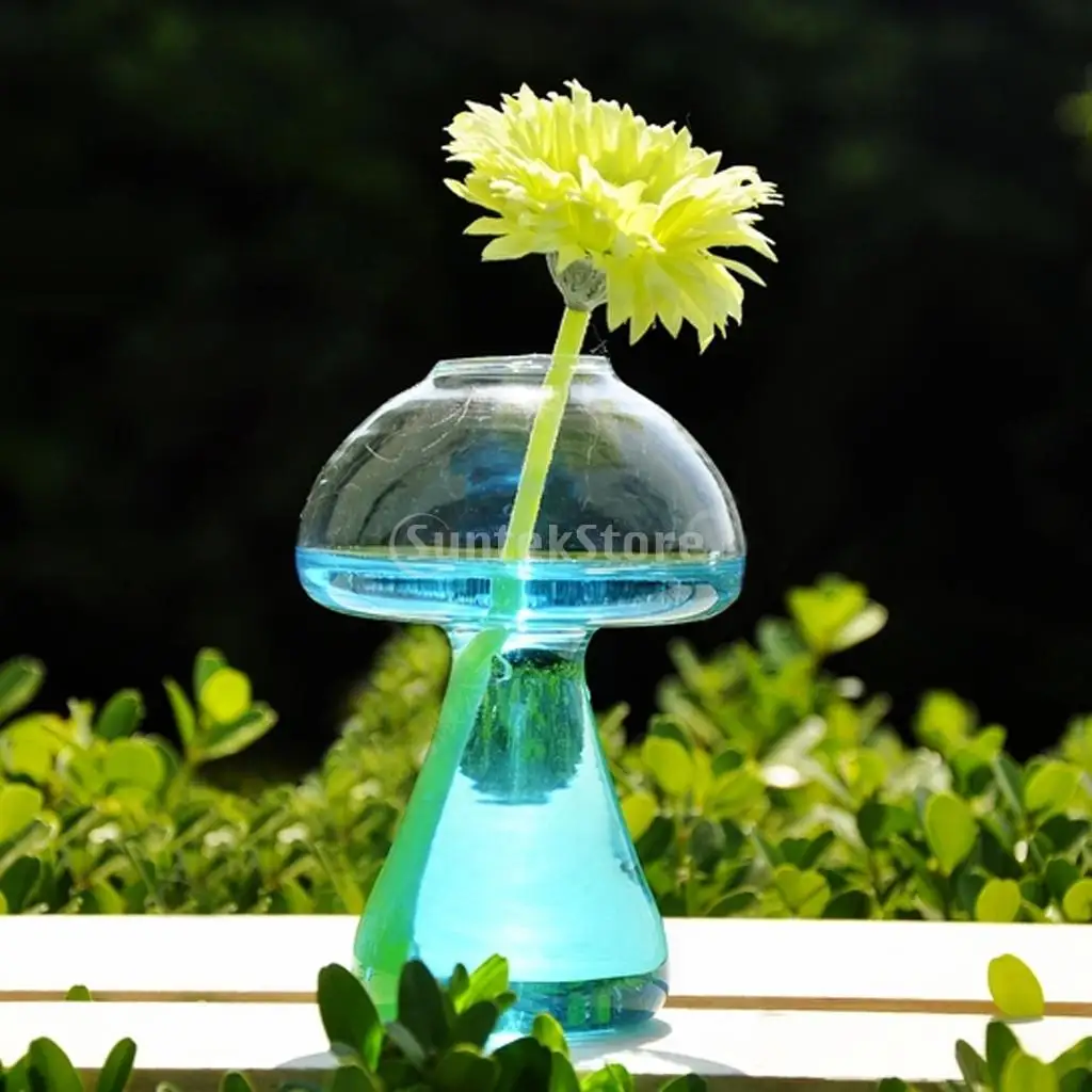 Прозрачная стеклянная ваза для украшения растений цветов грибов|vase bottle|glass vaseclear