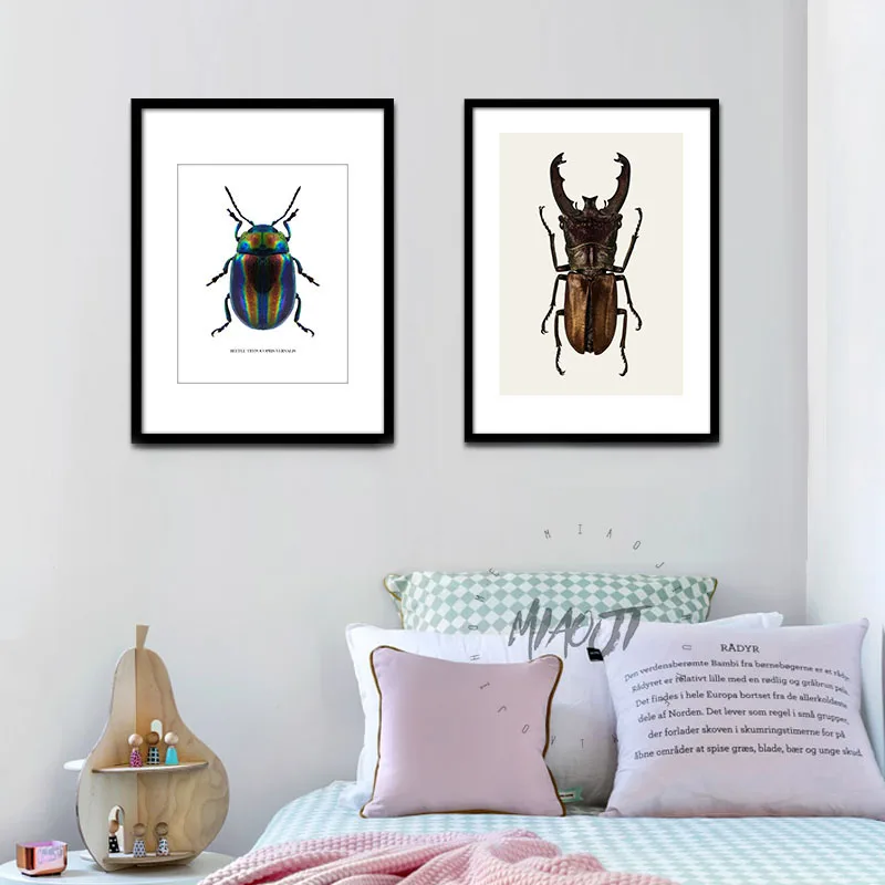 Coleoptera насекомые плакаты настенные художественные печатные картины на холсте для