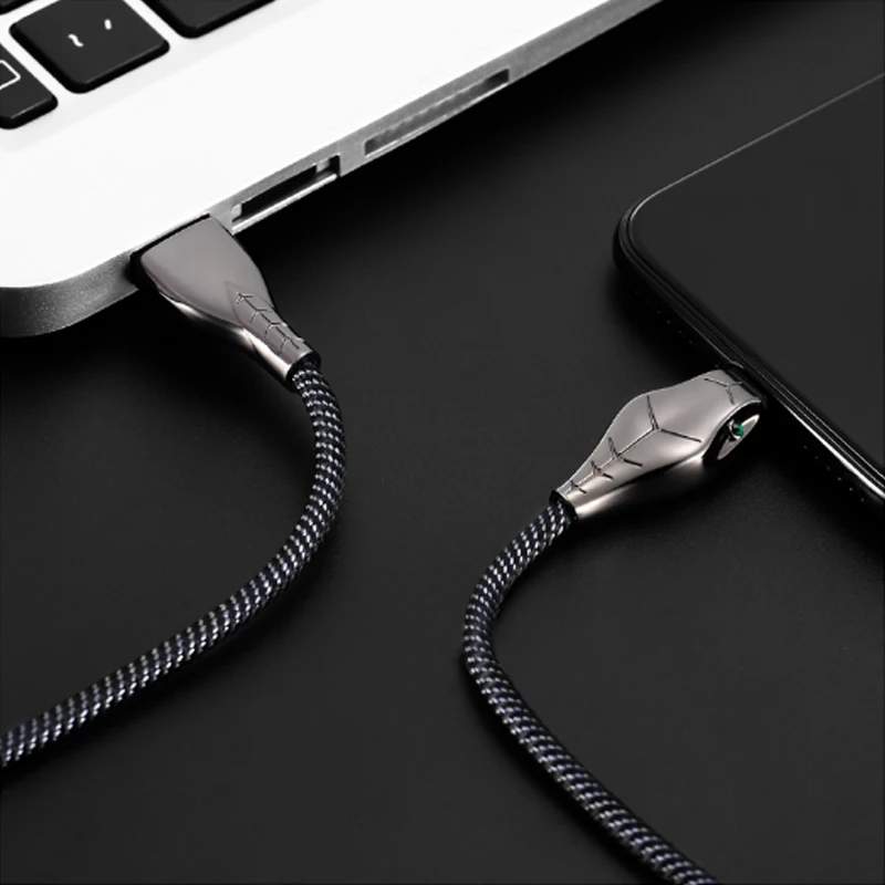 Benks Lightning-USB кабель зарядного устройства форма змеи для Apple iPhone X 10 8 7 6s Plus Se 3A кабели