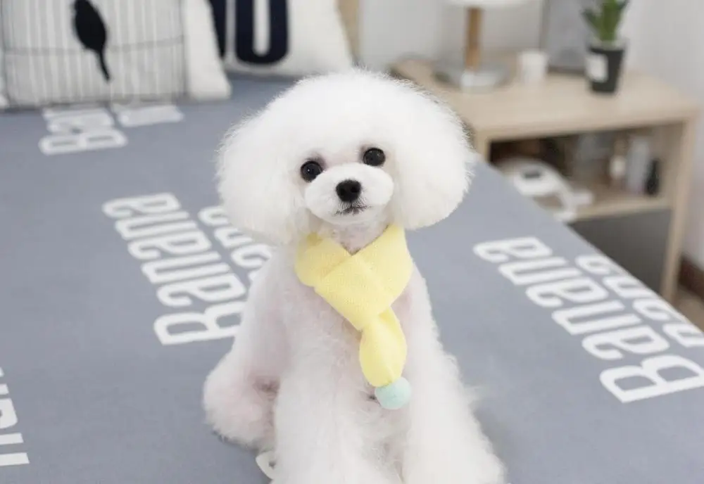 Yellow With Ball Теплые шарфы для собак, щенков, галстука-бабочки, ошейники для собак, кошачий шарф, зимние аксессуары, товары для домашних животных, чихуахуа, Йоркшира, корейский стиль - Цвет: Yellow With Ball