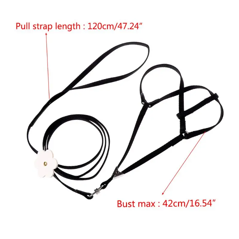 Поводок для домашних животных Маленький Попугай птица попугай поводок улицы