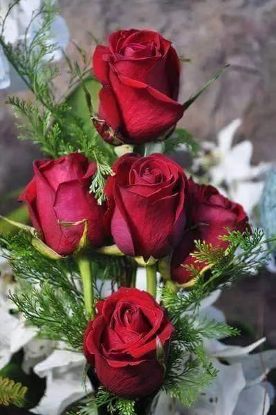 Diy diamond drawing Red roses floral cross stitch crystal round sets unfinish decorative full embroidery | Дом и сад