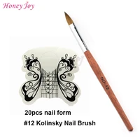 economical practical acrylic nails tool kit size no 12 kolinsky sable acrylic nail art brush20pcs white butterfly nail form