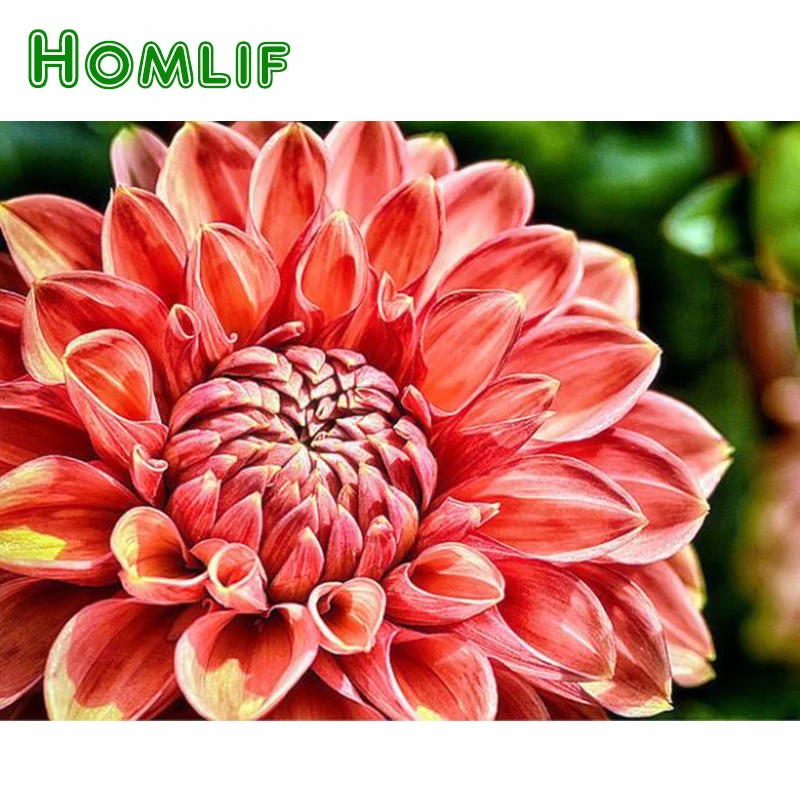 

HOMLIF алмазная живопись, красные цветы 5d Сделай Сам Полный Круглый дрель Алмазная мозаика продажи Стразы изображение домашний Декор наклейки...