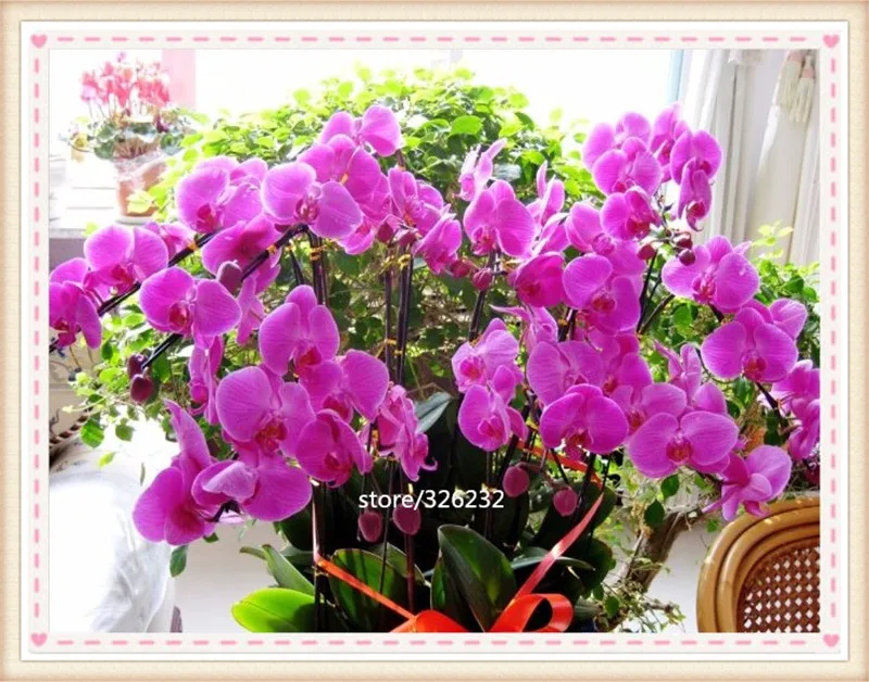 DIY diamond embroidery round painting cross stitch crystal full sets unfinished decorative flower | Дом и сад