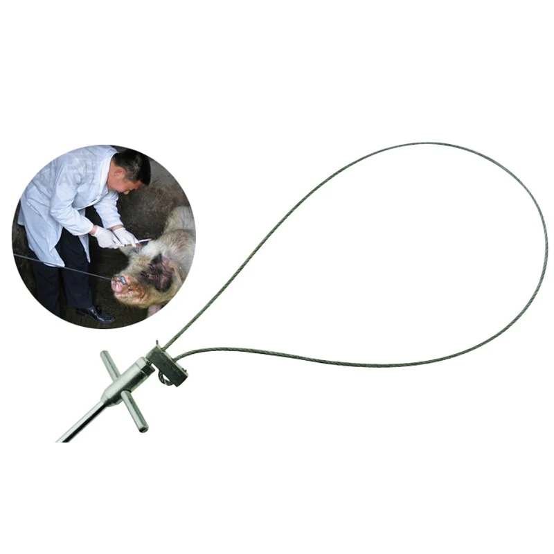 Устройство для сбора свиней из нержавеющей стали устройство домашнего скота