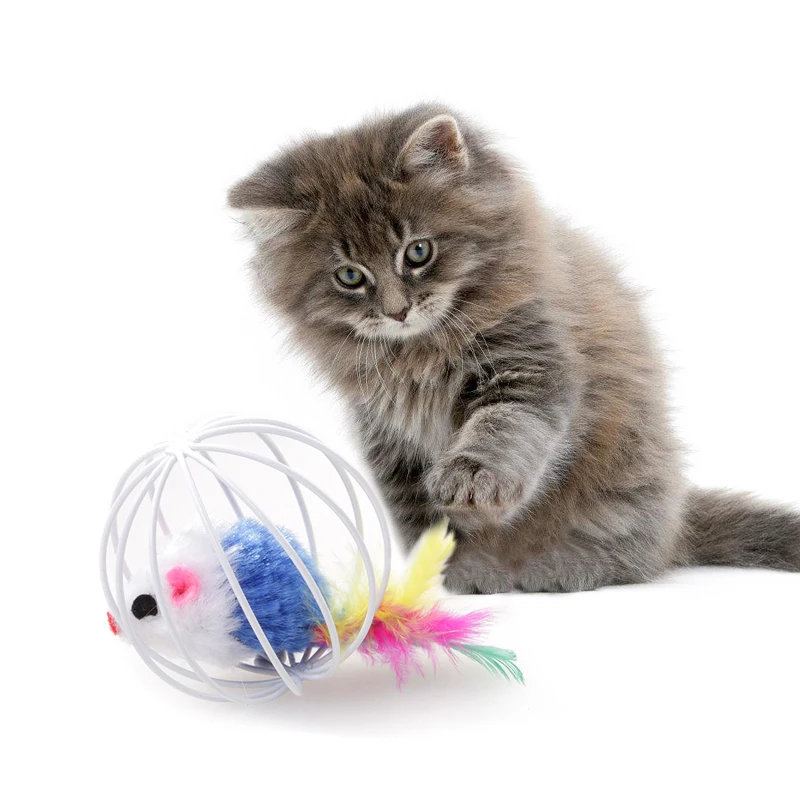 1 шт. красочное перо игрушечная Мышка для кошки интерактивная игра полый шар