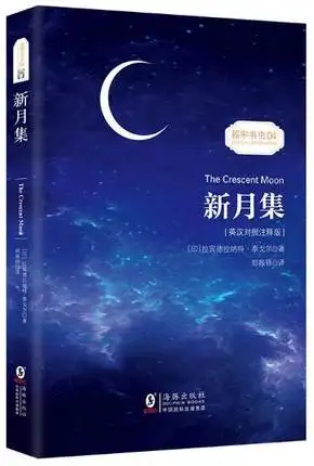 2 шт. книга на китайском и английском языках|Современная литература| |