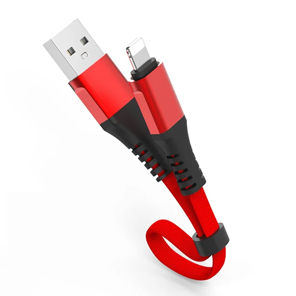 Красный ACCEZZ USB зарядный кабель для передачи данных освещение для iphone XS MAX XR X 8 7 6 6S 5S Plus зарядный кабель для iPad Mini короткий, для зарядного устройства - Цвет: Красный