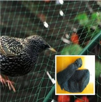 1pcs m5 x 30 m bird net china mesh planta pomar in frutas passaro morcego captured captured nevoa frete nylon net for free